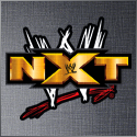 Post image of WWE NXT 11.07.2012